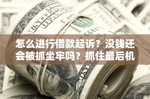 济南怎么进行借款起诉？没钱还会被抓坐牢吗？抓住最后机会！