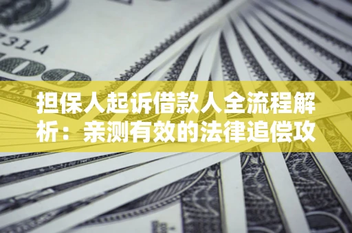 济南担保人起诉借款人全流程解析：亲测有效的法律追偿攻略