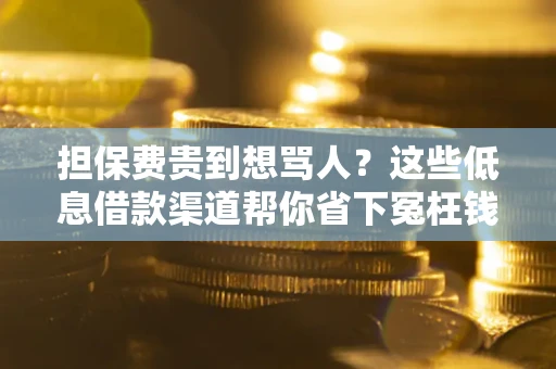 济南担保费贵到想骂人？这些低息借款渠道帮你省下冤枉钱