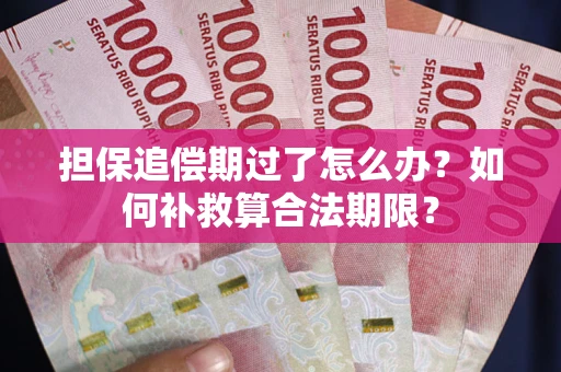 济南担保追偿期过了怎么办？如何补救算合法期限？